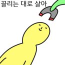 목화파크 이미지