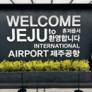 귤마씸