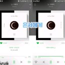 11AM 이미지