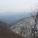 오목골 목장 Daum카페