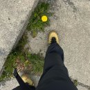 #3 칠레 토레스 델 파이네 국립공원