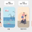 경도복싱 이미지