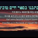 아비누 말케이누 이미지