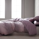 수아르 이미지