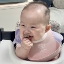 (주)올바른정육점 | 째! 그동안의 이유식 기록 | 자기주도 아이주도이유식 죽이유식 병행 후기 | 원물스틱, 미음, 퓨레 이유식