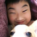 뿌아종