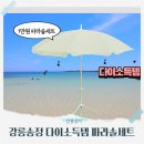 강릉여행팁 해변파라솔 대여비 아끼는 다이소 강릉송정 피서필수템 쇼핑후기