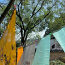 갤러리순 이미지