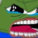 북한강쭈꾸미 이미지