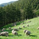 동화목장 이미지