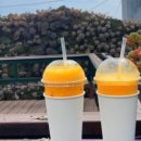 산방산모드락카페