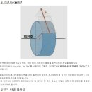 토르크