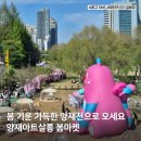 아트로봄 이미지
