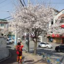 의료원사거리 이미지