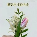 화요일 이미지
