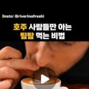 아틀란티스(ATLANTIS)