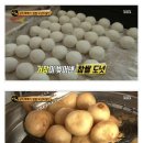 삼척꽈배기 이미지
