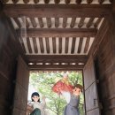해하랑 스튜디오에서 아기랑 고궁스냅 촬영 후기(+촬영 미리보기)