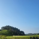 봉이감자탕, 칼국수 이미지