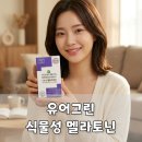 그린페이지 | 멜라토닌 고를 때 살펴본 유어그린 식물성 멜라토닌 후기