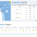 2023년 3월 11일(토요일) 08:00 현재 대한민국 날씨정보 및 기상특보 발표현황 (울릉도, 독도 포함 - 기상청발표) 이미지