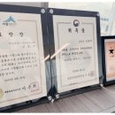 세무법인세종 - 창원시 성산구 중앙대로227번길 16 | 보람동 세무서 근처 세무법인 늘벗 세종점 꼼꼼한 세무 상담 후기