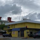 반딧불 동물병원 | 코타키나발루 여행 4일차: 수리아 사바, 유잇청, 반딧불&amp;맹그로브 투어, 마사지