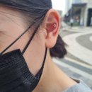 폭스피어싱 이미지
