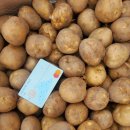 수미과일 이미지