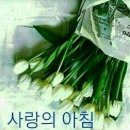 행복한하루 이미지