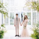 정,스튜디오 이미지