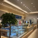 [일산] 일산역 샐러드 맛집 브런치 카페 추천 샐블리즈 일산본점