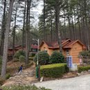전라남도 산림박물관 | 전남 광양 백운산 치유의 숲 센터 산림치유 프로그램 오천원의 행복 예약 방법