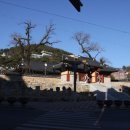 밀양여자고등학교 이미지