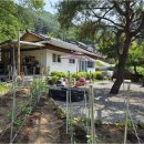 신개발부동산공인중개사사무소 네이버블로그