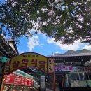 더덕이네 | 2025 동학사 삼학식당 계곡 │ 더덕정식·능이백숙 내돈내산 후기