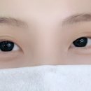 브로우쉼터 이미지