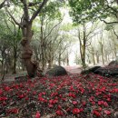 다산초당안내소 이미지