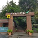 와룡벌꿀농원 | 서울근교나들이 한택식물원 산책