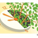 반나절