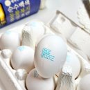 유정농장2 이미지