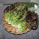 자연대로 이미지