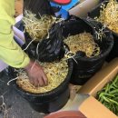 군산대야시장 이미지