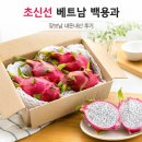 장보남 | [내돈내산] 초신선 베트남 백용과 대용량! 장보남에서 득템 (용과 효능부터 맛있게 먹는법까지)