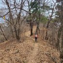 곡성-199 이미지