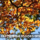행정사김덕수 이미지