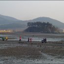 노루메기 이미지