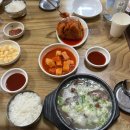 주정차단속-37 | [ 전주 곰탕 ] 로컬 노포 찐맛집 원조효자소머리곰탕