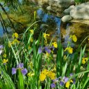 아주체육공원 이미지