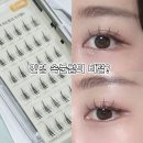 01-A | 필리밀리 노글루 포인트 가닥 속눈썹 01트리플A로 인형속눈썹 만들기 (내돈내산 후기)